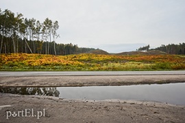 Można już kopać, ale nie wszyscy tego chcą