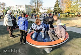 Tu wskoczył Konik Polny