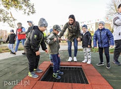 Tu wskoczył Konik Polny