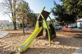 Tu wskoczył Konik Polny