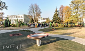 Tu wskoczył Konik Polny