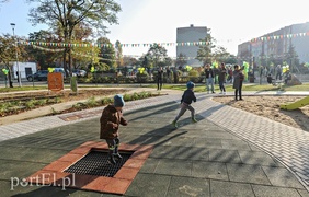 Tu wskoczył Konik Polny