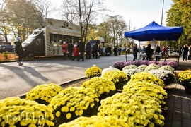 Elblążanie odwiedzają groby bliskich