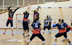 Truso nie sprawiło niespodzianki