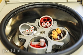 Tu polała się krew