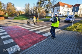 Potrącenie rowerzystki na przejeździe dla rowerów