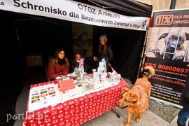 Na starówce czuć już święta