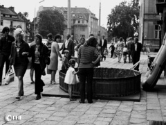 Elbląski handel w czasach PRL na zdjęciach Czesława Misiuka