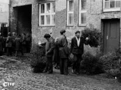 Elbląski handel w czasach PRL na zdjęciach Czesława Misiuka