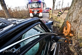 Nastolatka uderzyła w drzewo