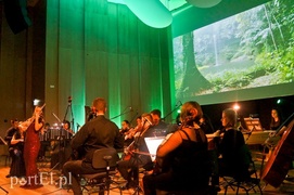 Vivaldi, jakiego nie znacie