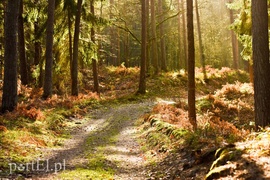 Co słychać na przekopie