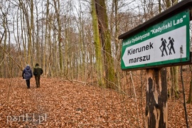 Nowe atrakcje na starej ścieżce