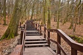 Nowe atrakcje na starej ścieżce