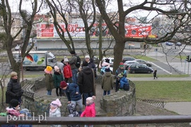 Wielkie liczenie ptaków