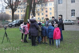 Wielkie liczenie ptaków