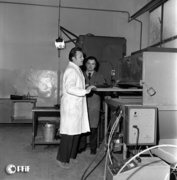 Elbląski przemysł z lat 70. na zdjęciach Czesława Misiuka