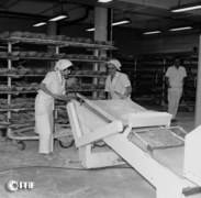 Elbląski przemysł z lat 70. na zdjęciach Czesława Misiuka