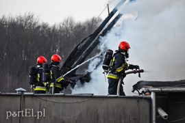 Spłonęła stolarnia w Dąbrowie, z ogniem walczyło około 30 strażaków