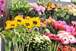 8 marca z Kwiaciarnią Romantyczną