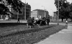 Elblążanie w latach 70. na zdjęciach Czesława Misiuka  (część 2) 