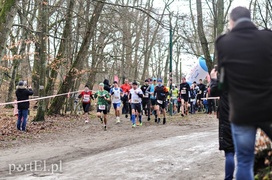 Dzień Kobiet w biegu