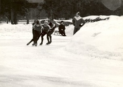 Pierwsze mistrzostwa  (historia Heleny Pilejczyk, odc. 1)