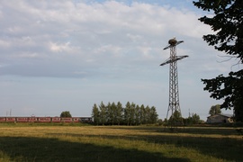 Wróciły do nas bociany! Dzisiaj mają swoje święto