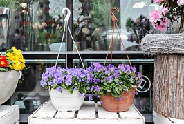 Zostań w domu, ale ciesz się wiosną z Kwiaciarnią Romantyczna