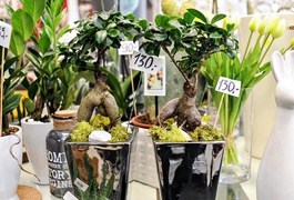 Zostań w domu, ale ciesz się wiosną z Kwiaciarnią Romantyczna