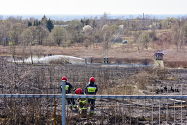 Pożar traw pod cmentarzem Dębica