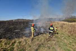 Pożar traw pod cmentarzem Dębica