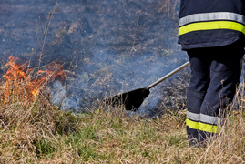 Pożar traw pod cmentarzem Dębica