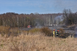 Pożar traw pod cmentarzem Dębica