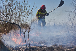 Pożar traw pod cmentarzem Dębica