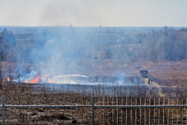 Pożar traw pod cmentarzem Dębica