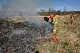 Pożar traw pod cmentarzem Dębica