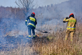 Pożar traw pod cmentarzem Dębica