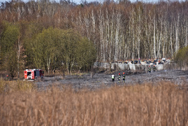 Pożar traw pod cmentarzem Dębica