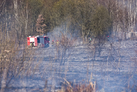 Pożar traw pod cmentarzem Dębica