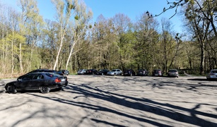 Lasy otwarte, ale bardzo suche