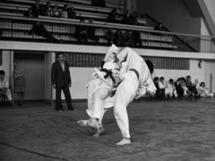 Elbląski sport z lat 70. na zdjęciach Czesława Misiuka: judo zdjęcie nr 223417