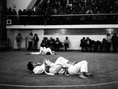 Elbląski sport z lat 70. na zdjęciach Czesława Misiuka: judo zdjęcie nr 223399