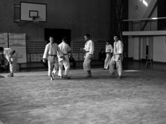 Elbląski sport z lat 70. na zdjęciach Czesława Misiuka: judo zdjęcie nr 223394