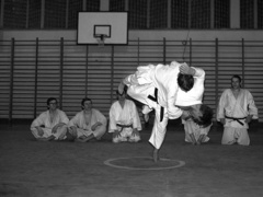 Elbląski sport z lat 70. na zdjęciach Czesława Misiuka: judo zdjęcie nr 223392