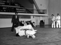 Elbląski sport z lat 70. na zdjęciach Czesława Misiuka: judo zdjęcie nr 223412