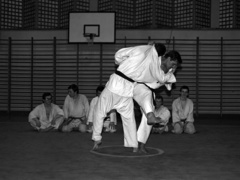 Elbląski sport z lat 70. na zdjęciach Czesława Misiuka: judo zdjęcie nr 223391