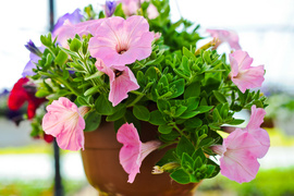 Pokaż mamie, że jest dla ciebie ważna