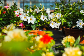 Pokaż mamie, że jest dla ciebie ważna