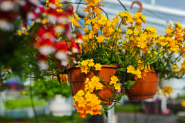 Pokaż mamie, że jest dla ciebie ważna